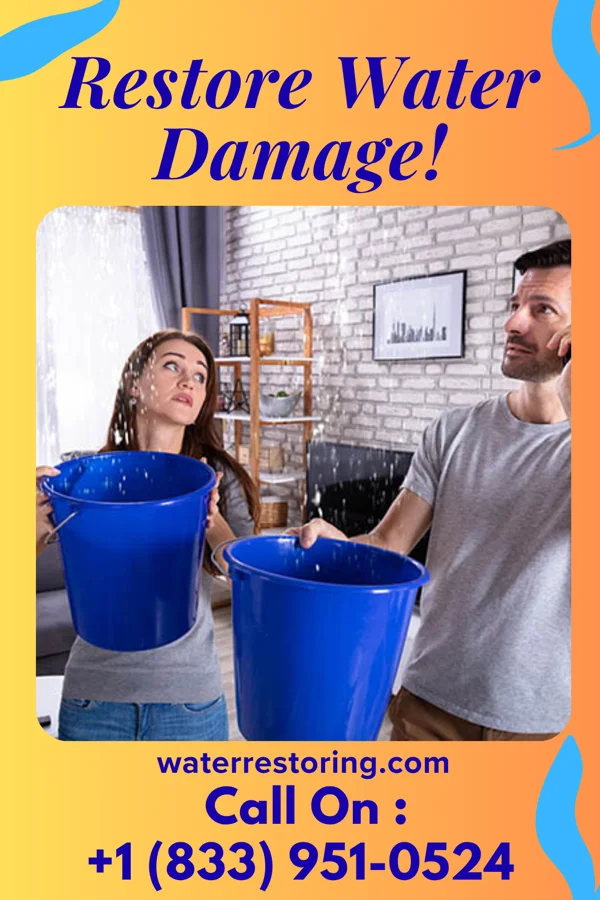 water restoration Solid Water Damage Authority South Sioux City