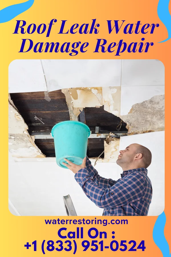 Roof Leak Water Damage Repair in South Sioux City, NE