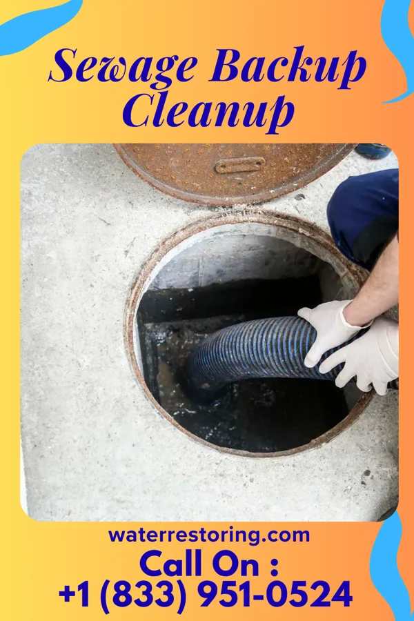 Sewage Backup Cleanup in South Sioux City, NE